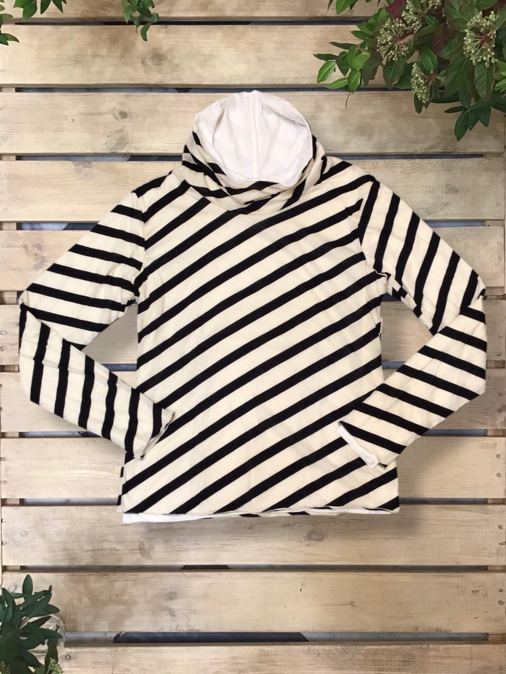 Top Nervi (Art. 16/2526)