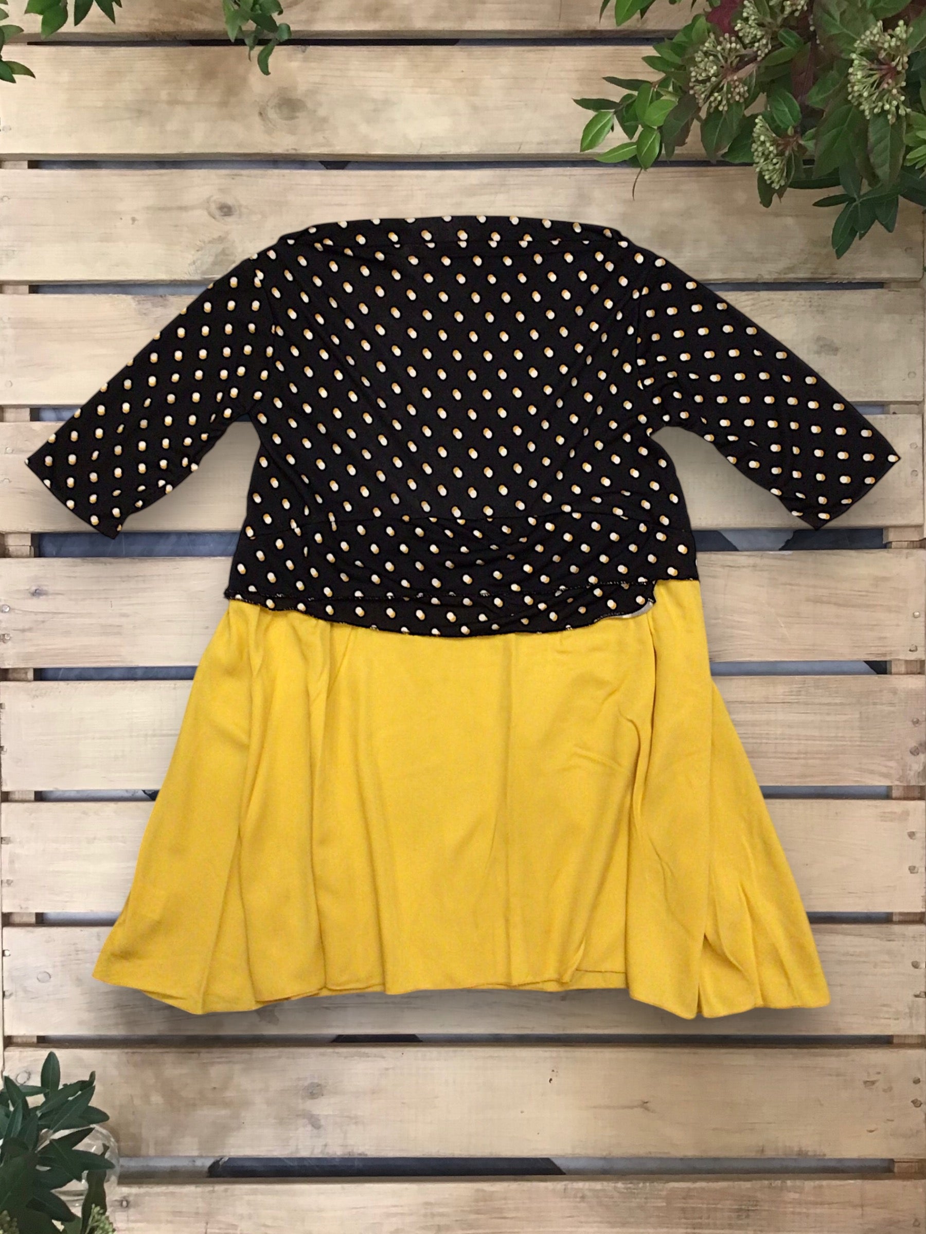 Top Coccinella (Art. 104/25)