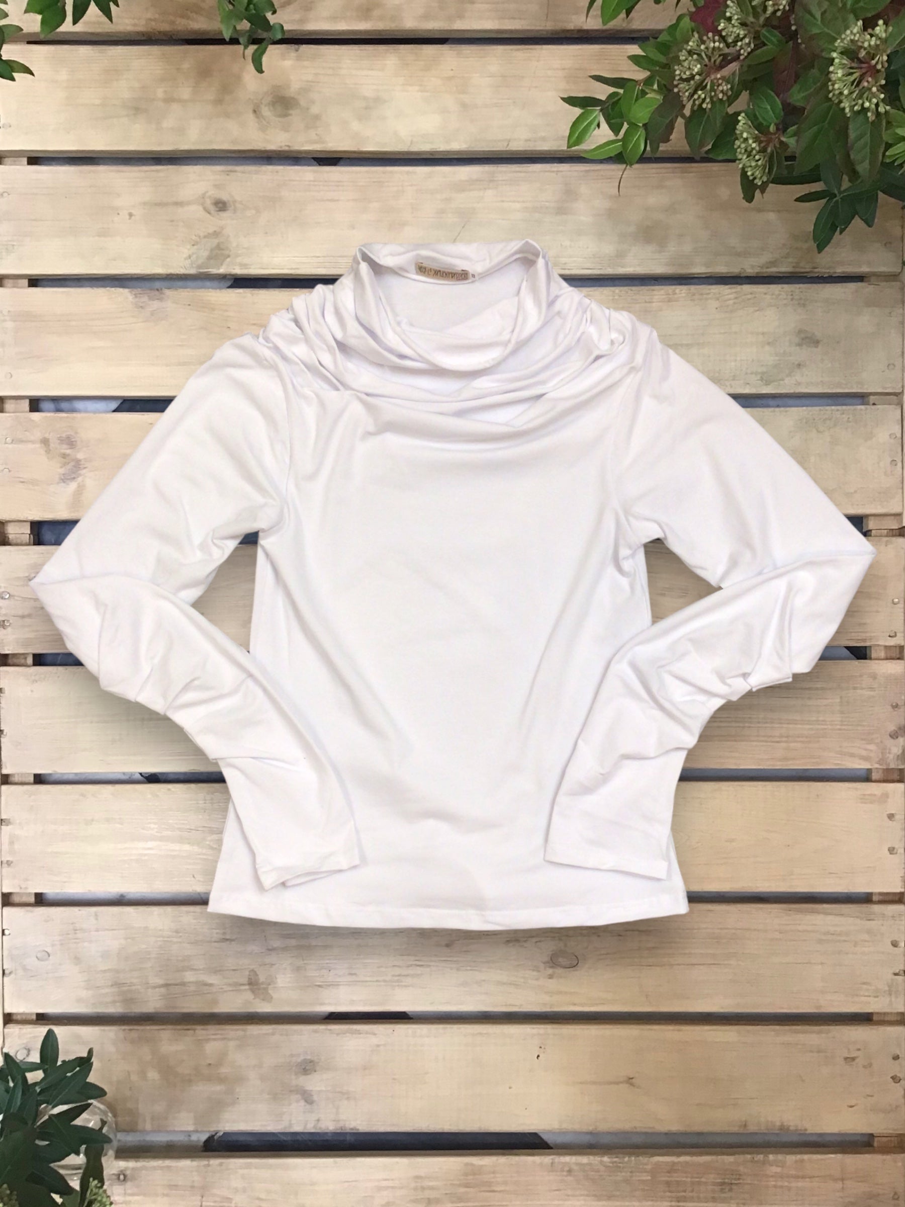 Top Beigua (Art. 14/2425)